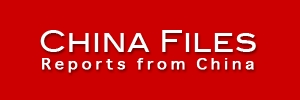 logoChina files